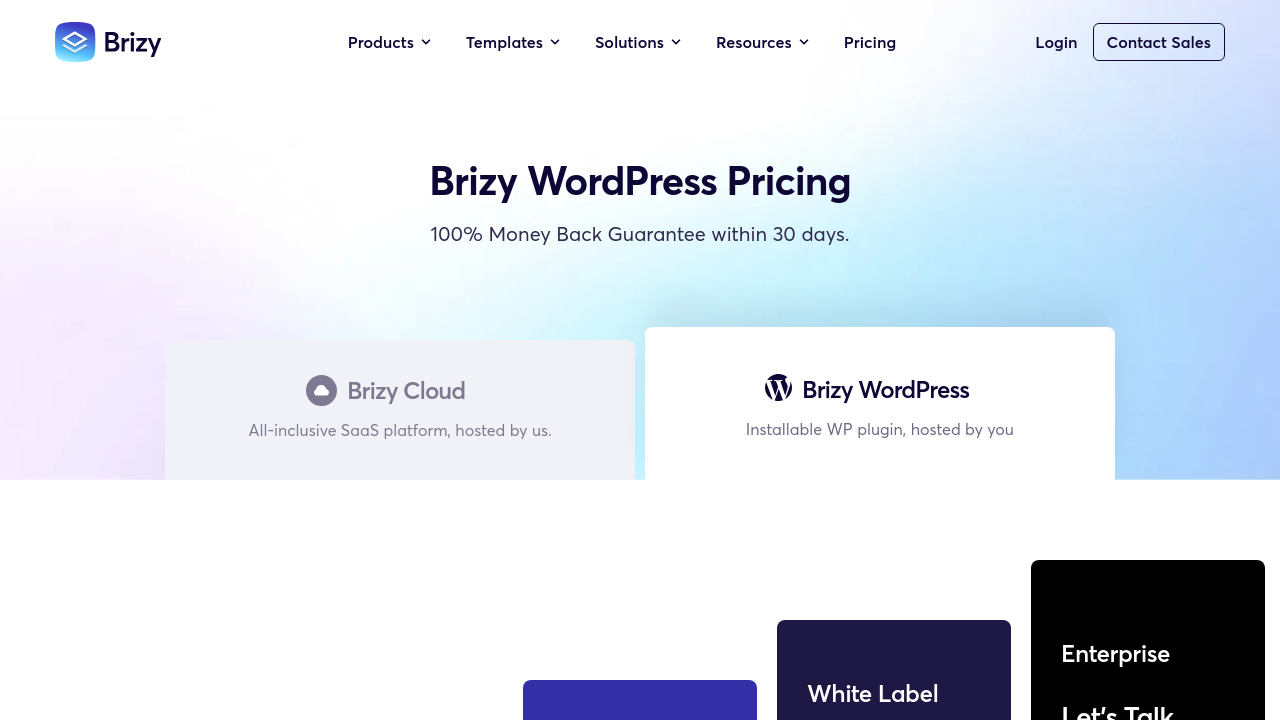 Brizy