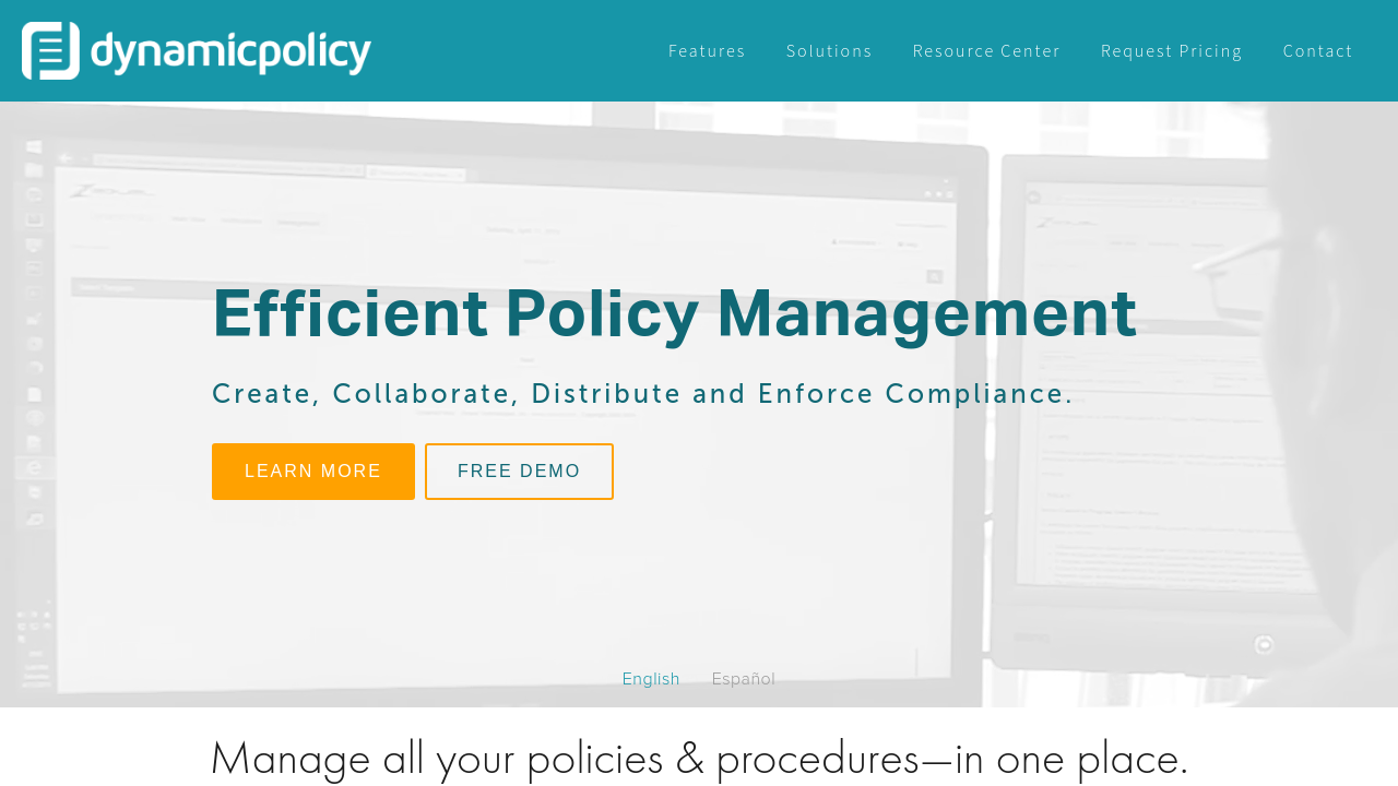 DynamicPolicy