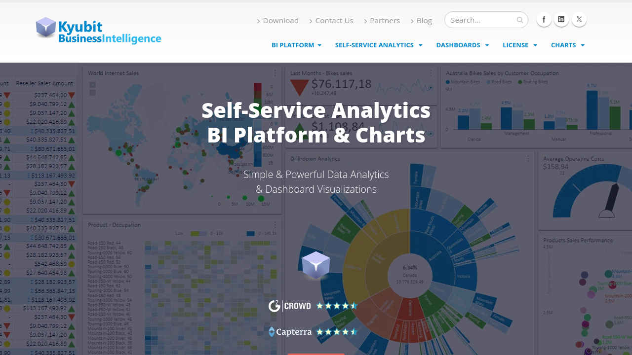 Kyubit Business Intelligence