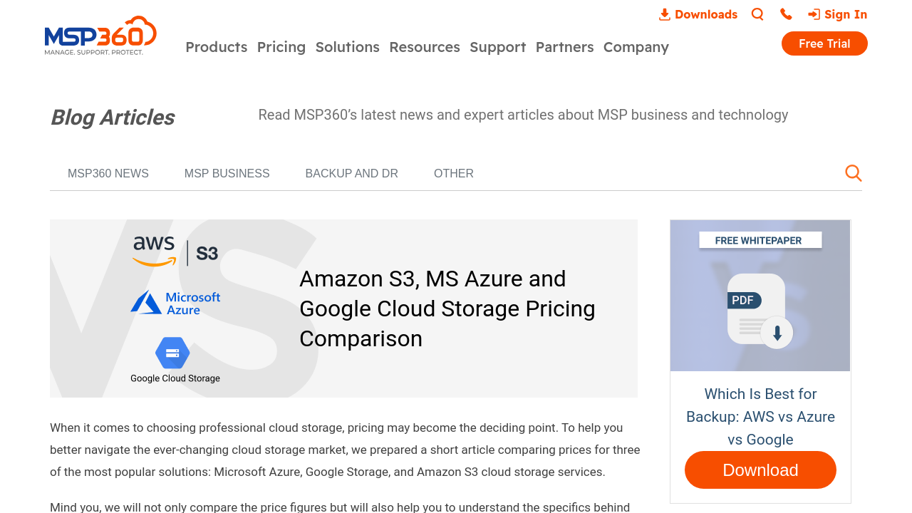 MSP360 Connect