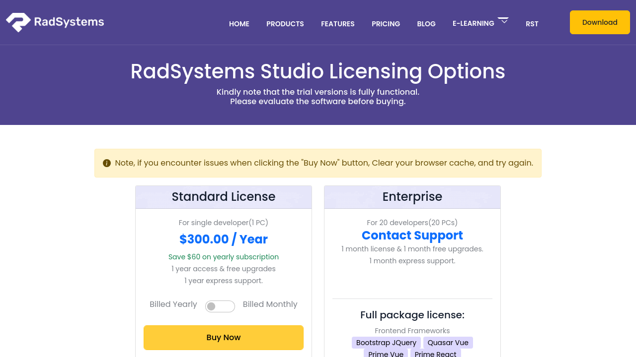 RadSystems Studio