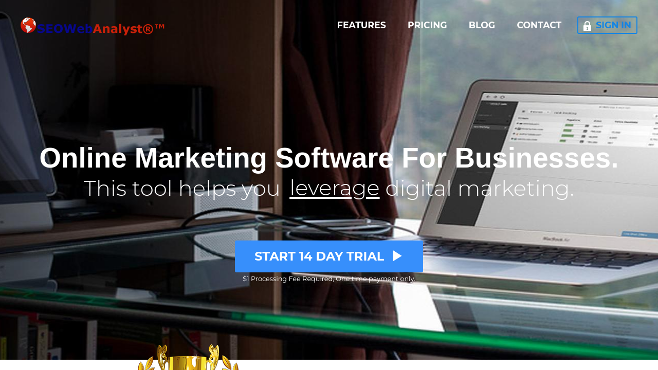 SEO Web Analyst