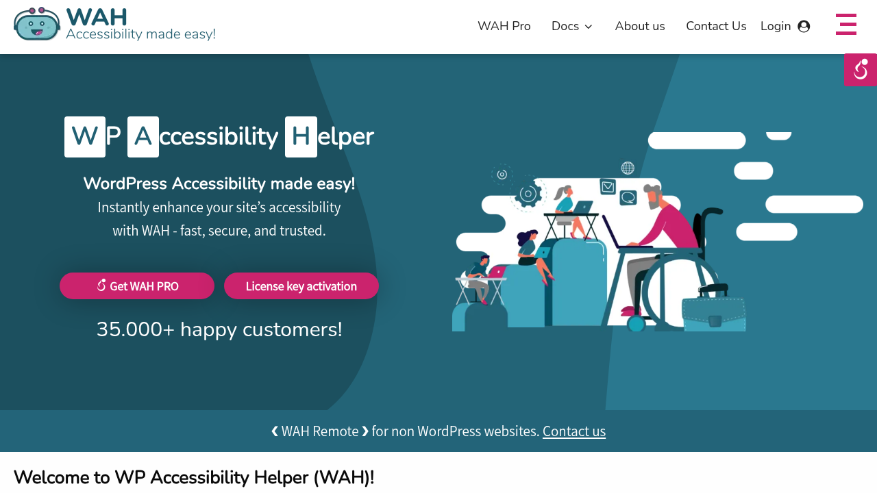 WP Accessibility Helper